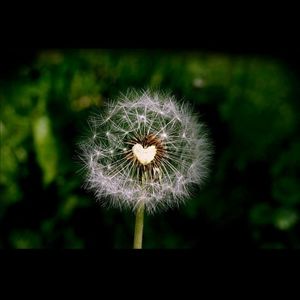 Meet your Posher, Suzette ritter